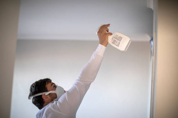 Best Insurance-Related Mold Remediation in Lindenhurst, IL