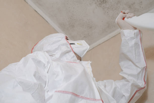Professional Mold Remediation in Lindenhurst, IL