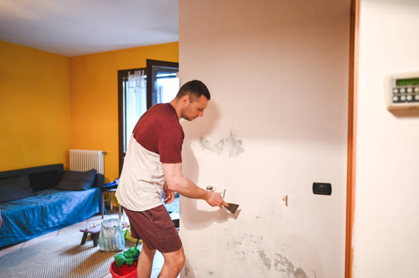Best Health and Safety Mold Remediation in Lindenhurst, IL